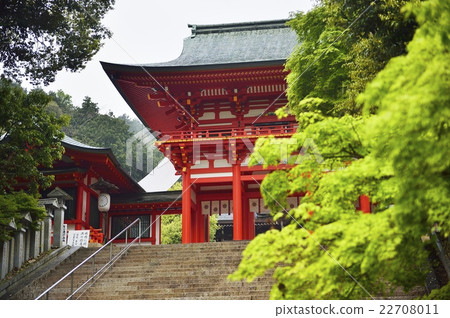 Omi Jingu Temple gate 22708011