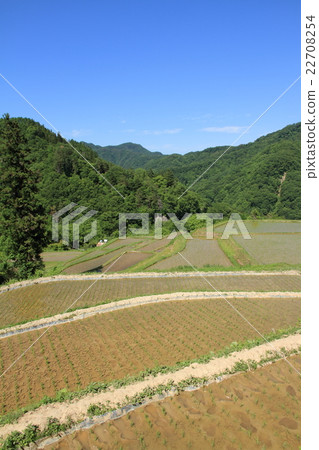 Shintaro Rice terrace Japan's Tanada 100 Chosen Nagano Prefecture Omachi Yasaka 22708254