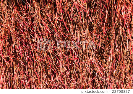 Puhutukawa Texture 22708827
