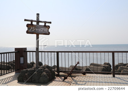 Hokkaido, Cape No Shap 22709644