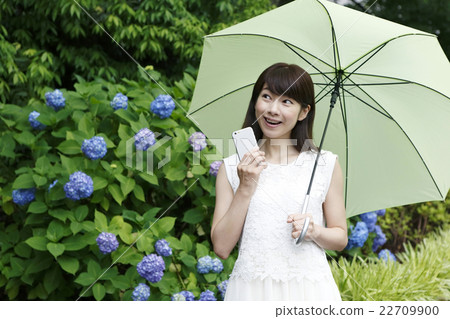 Rainy season image 22709900