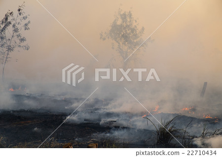 Smoke field after wildfire. 22710434