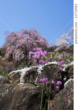 Ryujoin Temple 22710461