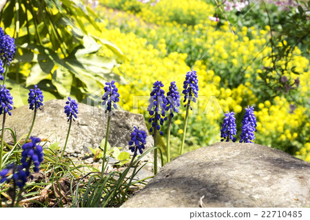 Flower Mother Temple 22710485
