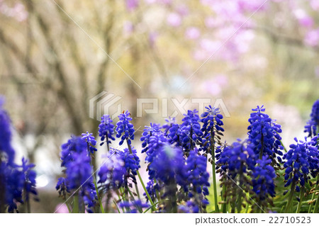 Flower Mother Temple 22710523