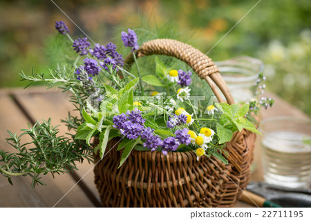 Herbs Herbs 22711195
