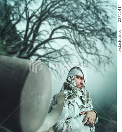 Man in toilet paper in the forest Man in toilet paper in the forest 22711414