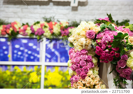 Colorful flowers 22711700