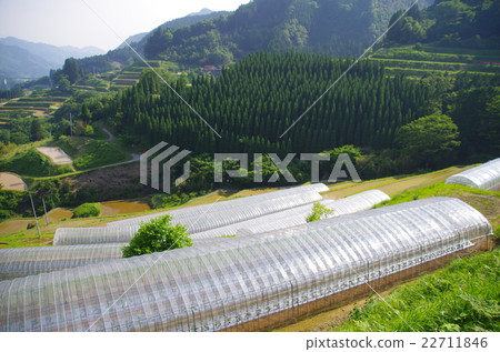 A landscape of Yamato spreading in the valley along the Iwato river in Takachiho town in Miyazaki prefecture and wrapped in soft light 22711846