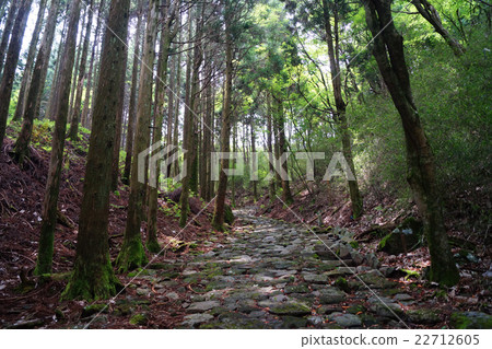 Old road cobblestone 22712605