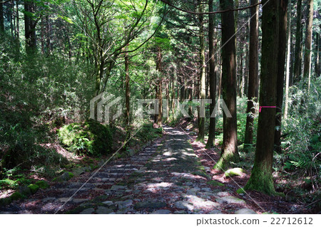 舊路鵝卵石 22712612