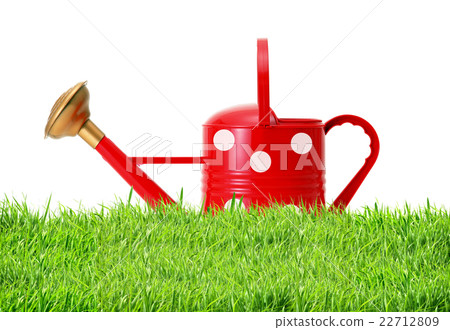 red polka dot watering can on green grass isolated red polka dot watering can on green grass isolated 22712809