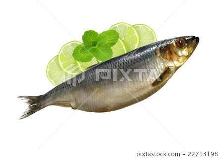 Smoked Mackarel and lime slices isolated on white 22713198