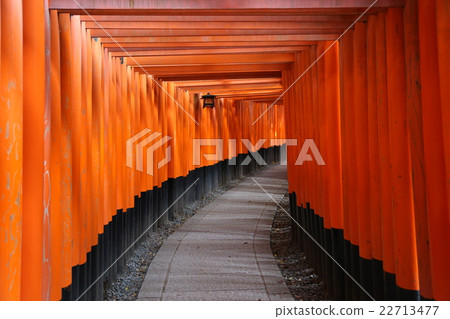Fushimi-Inari Taisha Shrine Torii Torii Kyoto 22713477