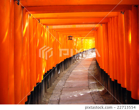 Fushimi Inari的光 22713554