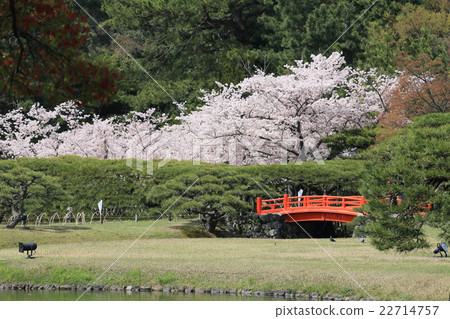 “Rurin Park”Boryu Bridge通過南花園,Hakonzema,Sakura的北湖看到 “Rurin Park”Boryu Bridge通過南花園,Hakonzema,Sakura的北湖看到 22714757