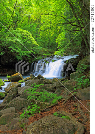 Tateshina Otaki Waterfall Falls Yukawa 22715003