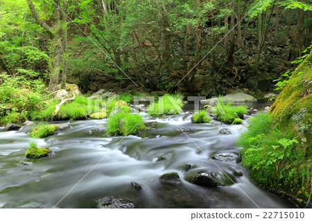 Yukawa stream of the waterfall 22715010