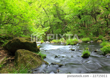 Yukawa stream of the waterfall Fresh green 22715011
