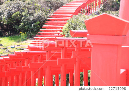 前Nogami Inage神社 22715998