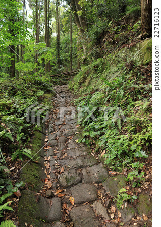 Sawayama的汽車動力之路 22716123