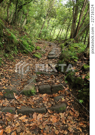 Sawayama的汽車動力之路 22716124