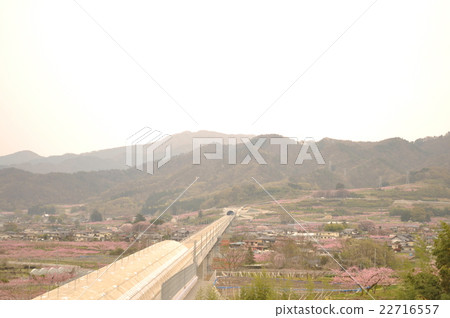 Photos of the hill where Linear view is visible 22716557