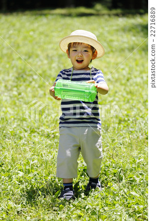 Summer vacation insect collection 22716889