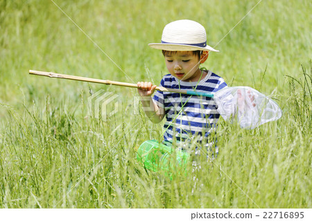 暑假昆蟲集合 暑假昆蟲集合 22716895