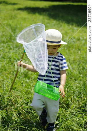 暑假昆蟲集合 暑假昆蟲集合 22716904