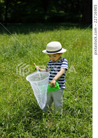 暑假昆蟲集合 22716905