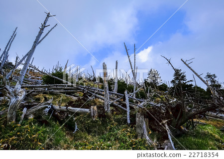 淚水和藍天 22718354