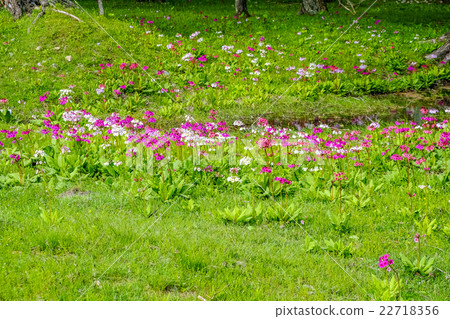 Clinkow on the water's edge 22718356