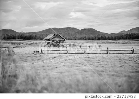black and white of Old cabin in a green field. 22718458