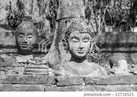 black and white of Sculpture of Stone Buddha 22718521