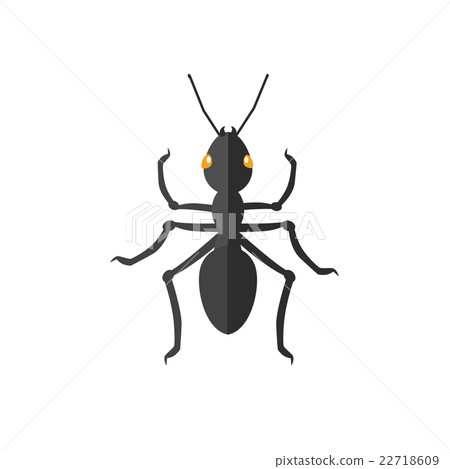 Ant Icon Vector 22718609