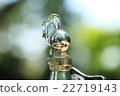 Clear water 22719143