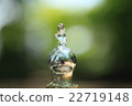 Clear water 22719148