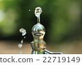 Clear water 22719149