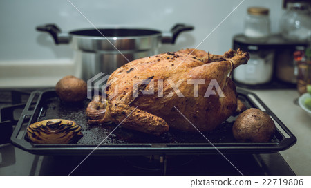 一個完整的流氓 一個完整的流氓 22719806