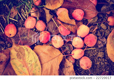 Grunge autumn background 22720017