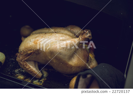 A whole rogue 22720137