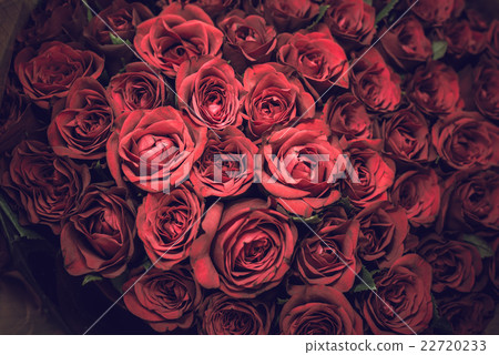 玫瑰花束 22720233