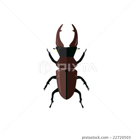 Big Beetle Deer with Horns Big Beetle Deer with Horns 22720503