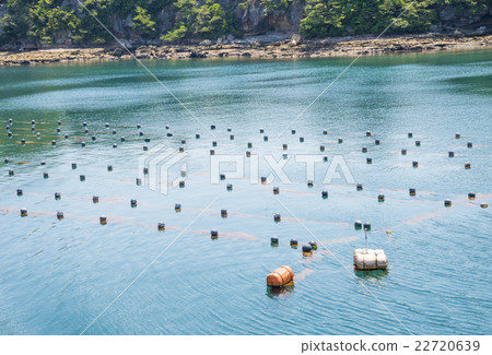 Rafts for pearl culture on Kujukushima (Sasebo City, Nagasaki Prefecture) 22720639