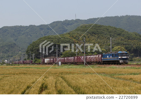 EF 210 type 300 series electric locomotive traction cargo train 22720899