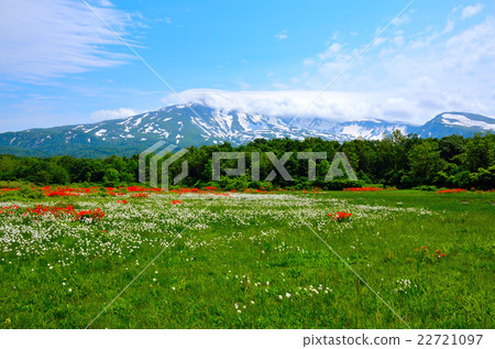 桑樹基地濕地 22721097