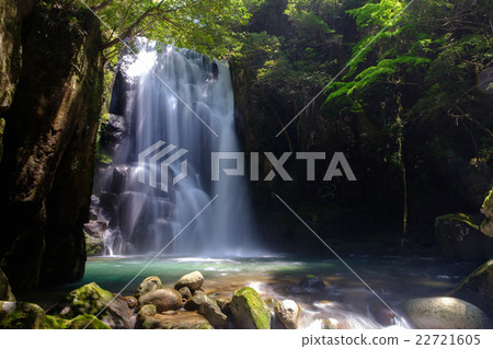 Waterfall of Kuwano tree Waterfall of Kuwano tree 22721605