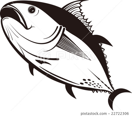 Bluefin tuna (book tuna) 22722306