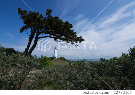 Lighthouse Dornbusch at Hiddensee 22723165